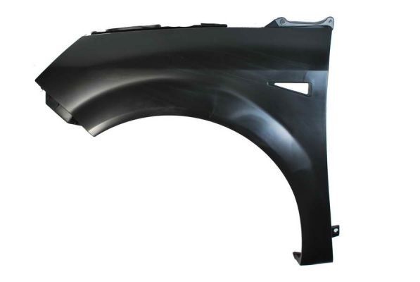 Renault Spatbord