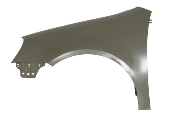 Volkswagen Spatbord
