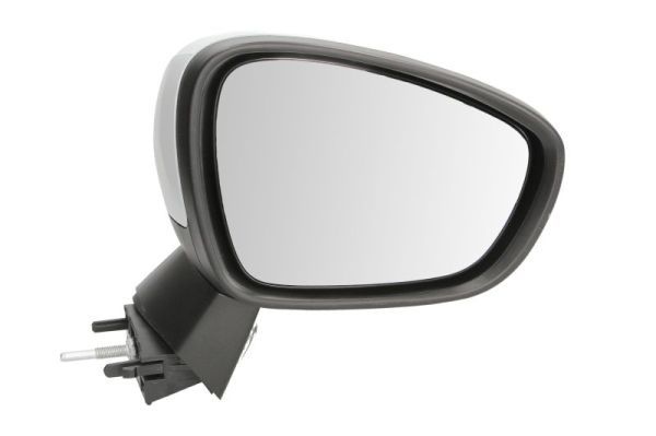 Citroen Buitenspiegel
