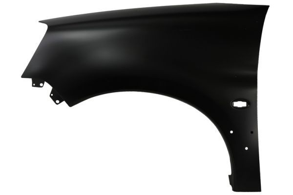 Citroen Spatbord