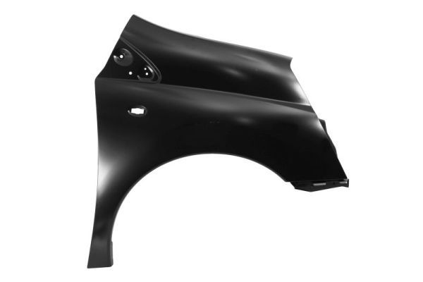 Citroen Spatbord