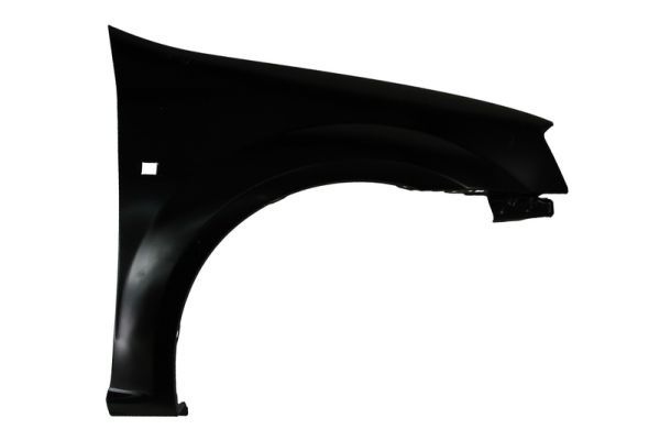 Dacia Spatbord