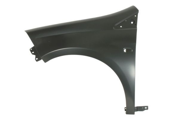 Fiat Spatbord