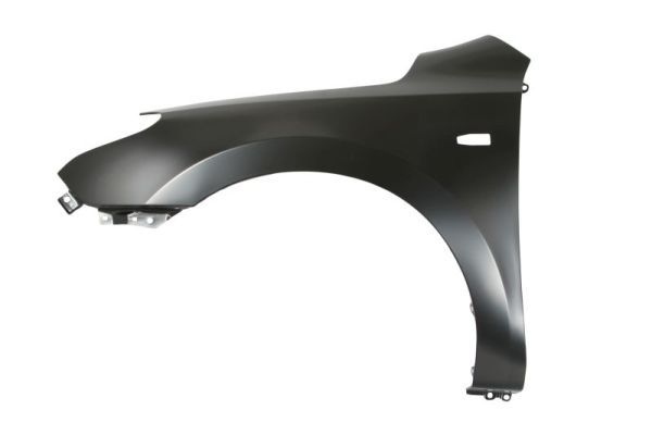 Hyundai Spatbord