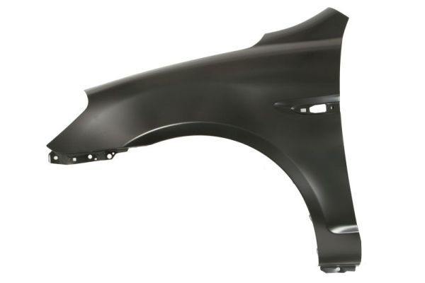 Hyundai Spatbord