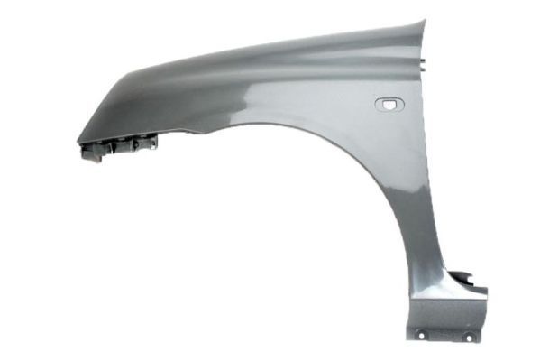 Renault Spatbord