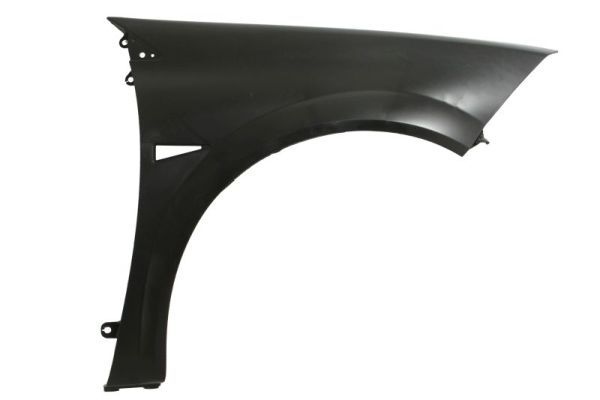 Renault Spatbord
