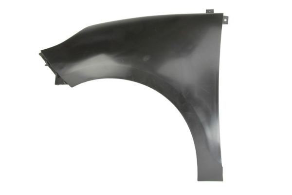 Renault Spatbord