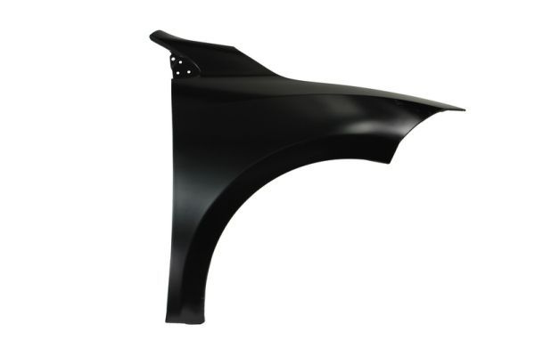 Renault Spatbord
