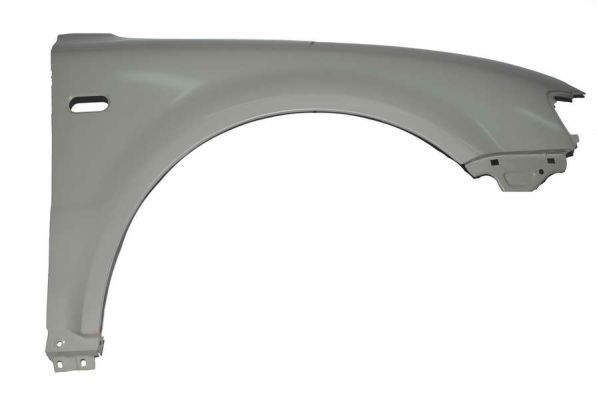 Volkswagen Spatbord