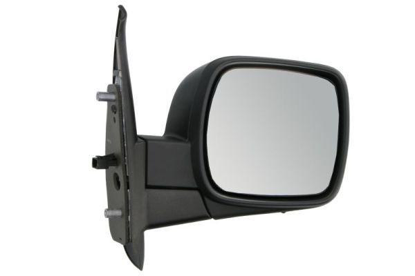 Renault Buitenspiegel