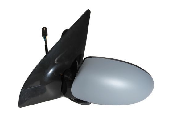 Ford Buitenspiegel