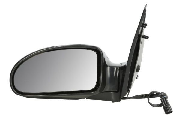 Ford Buitenspiegel