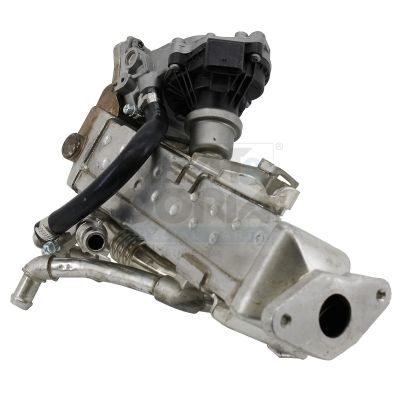 Bmw AGR modul