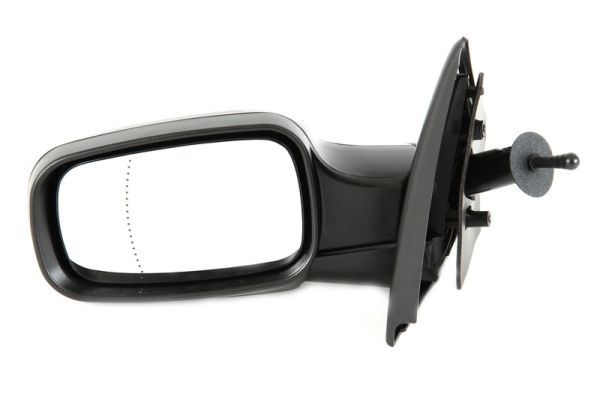 Renault Buitenspiegel