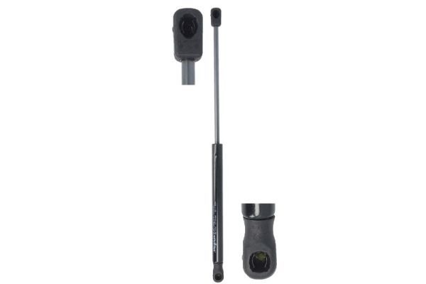 Renault Gasveer, motorkap
