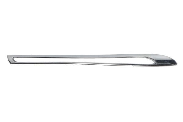 Mercedes-Benz Sier- / Beschermingspaneel, radiateurgrille