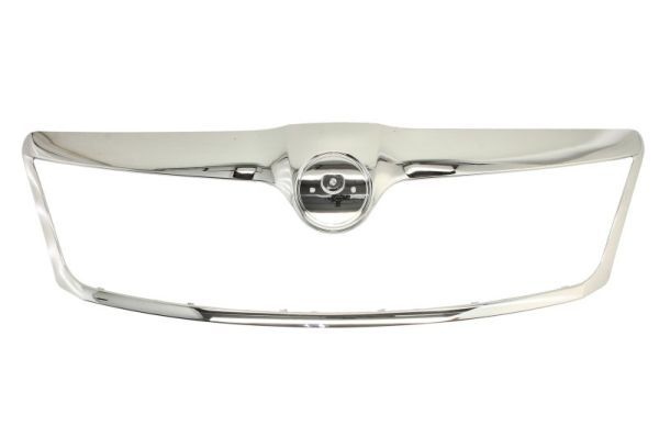 Skoda Sier- / Beschermingspaneel, radiateurgrille