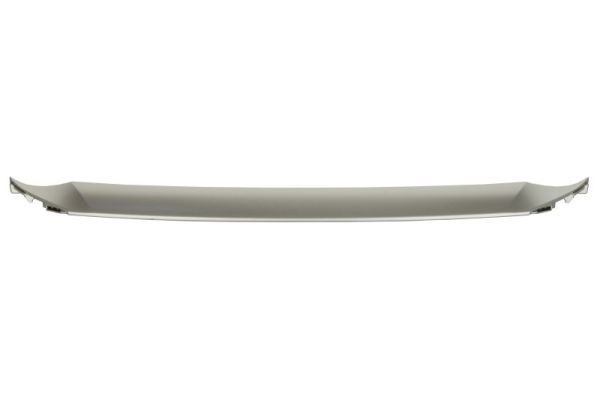 Lexus Sier- / beschermingspaneel, bumper