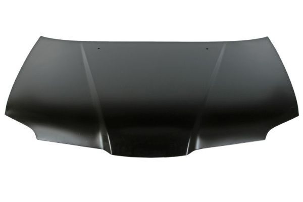 Mitsubishi Motorkap