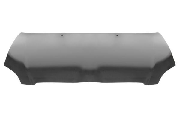 Toyota Motorkap