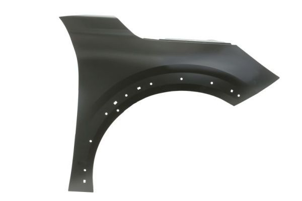 Peugeot Spatbord