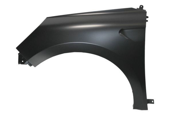 Renault Spatbord