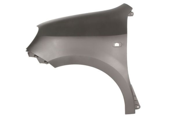 Renault Spatbord