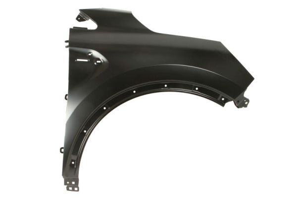 Renault Spatbord