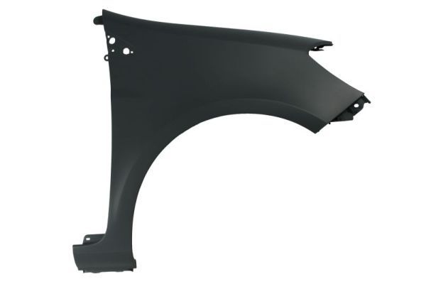 Renault Spatbord