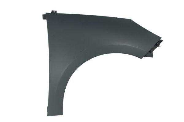 Renault Spatbord