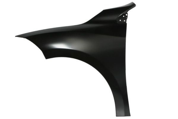 Renault Spatbord