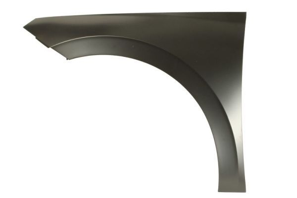 Skoda Spatbord