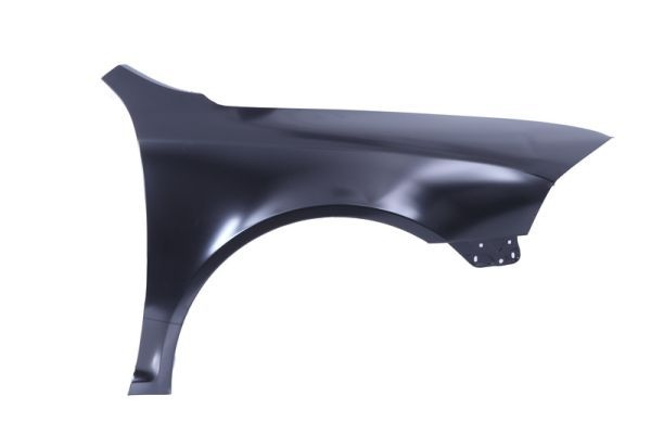 Skoda Spatbord