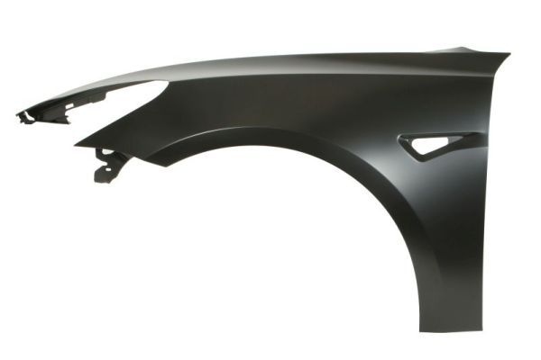 Tesla Spatbord