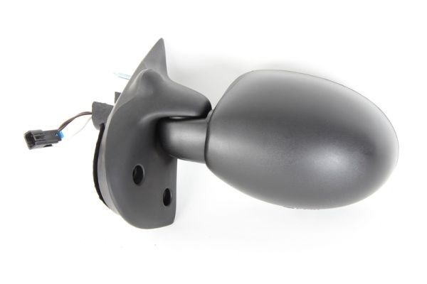 Renault Buitenspiegel