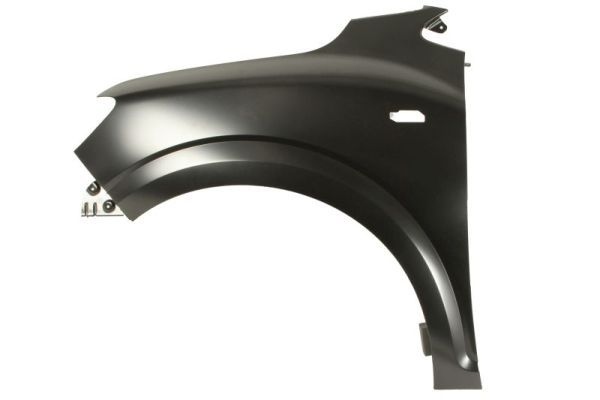 Dacia Spatbord
