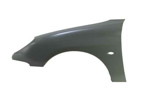 Peugeot Spatbord