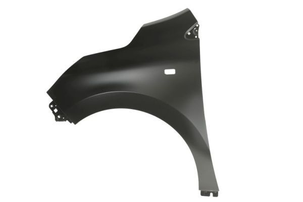 Renault Spatbord