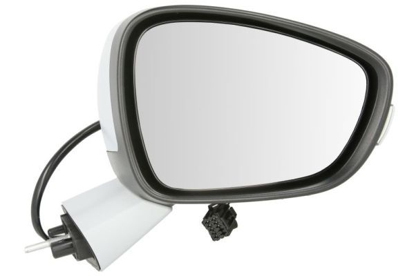 Citroen Buitenspiegel