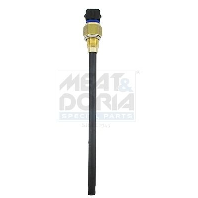 Nissan Sensor, motoroliepeil