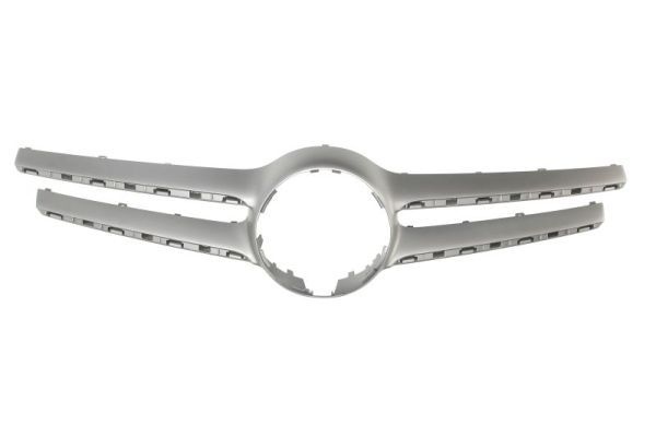 Mercedes-Benz Sier- / Beschermingspaneel, radiateurgrille