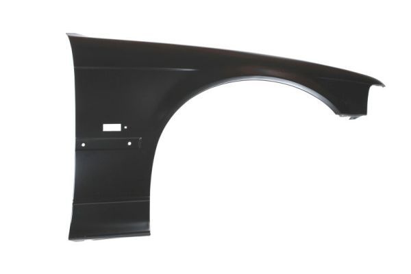Bmw Spatbord