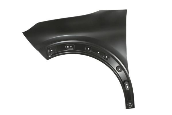 Citroen Spatbord
