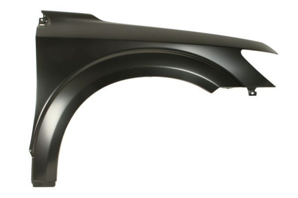 Dodge Spatbord