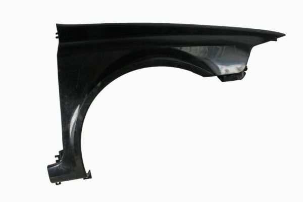 Renault Spatbord