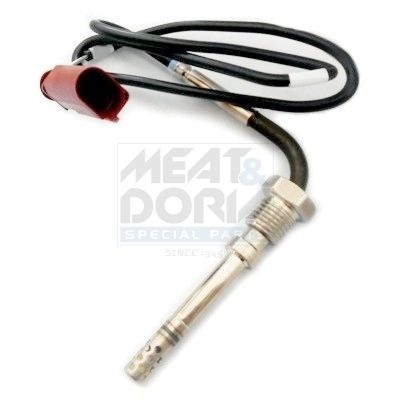 Audi Sensor, uitlaatgastemperatuur