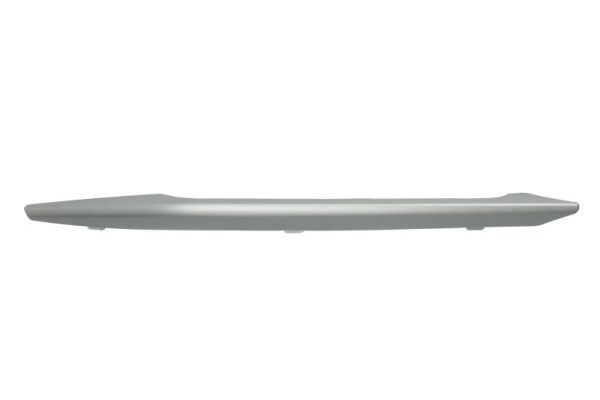 Bmw Sier- / beschermingspaneel, bumper