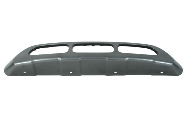 Citroen Sier- / beschermingspaneel, bumper