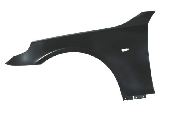 Bmw Spatbord
